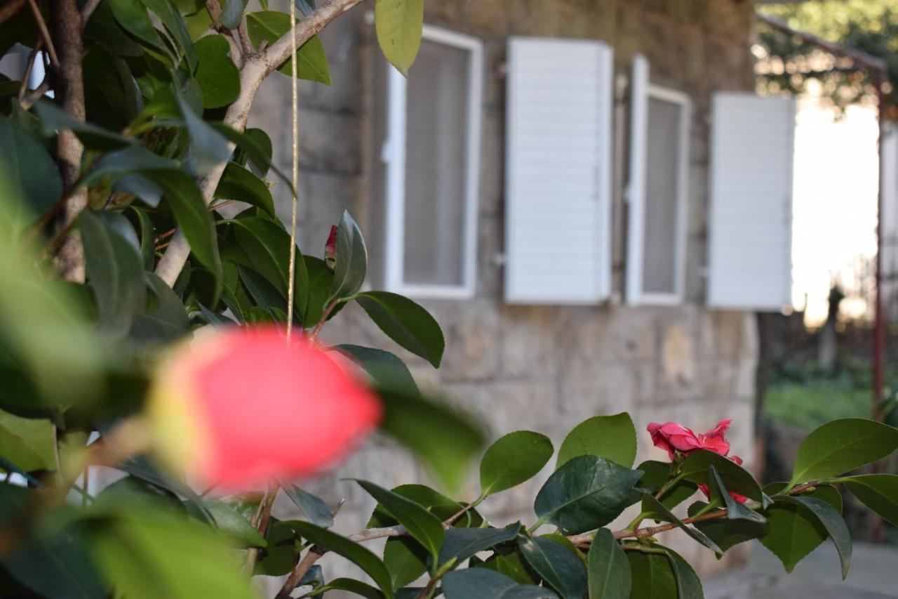 Old Town Studios Budva Extérieur photo